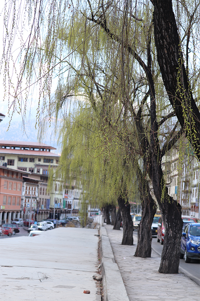 Potrait, Bhutan, Peace, God