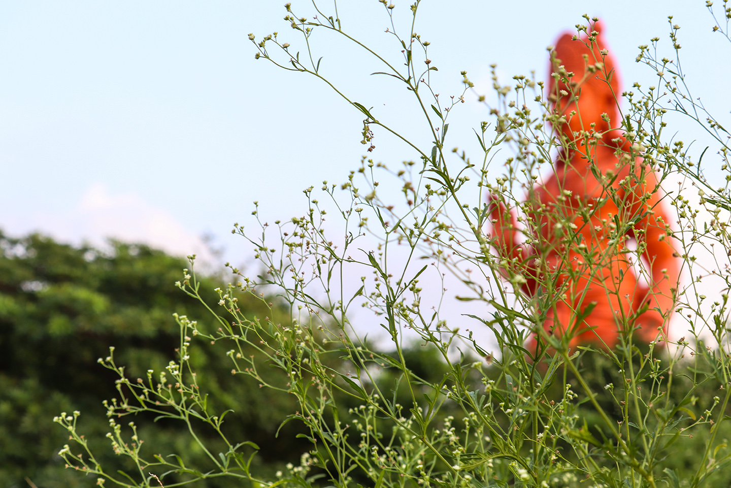 Lord Hanuman, Lord India, Rama, Power, chattarpur mandir